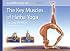 Scientific Keys Volume I: The Key Muscles of Hatha Yoga