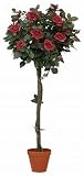 f-Deco���[�Y�E���G�}���H����120cm���b�h