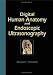 Digital Human Anatomy and Endoscopic Ultrasonography