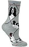Springer Spaniel Ladies Gray Cotton Dog Novelty Socks (Shoe Size 9-11)