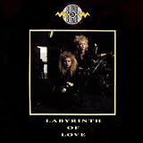 Labyrinth of Love