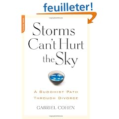 Storms Can't Hurt the Sky: A Buddhist Path Through Divorce