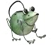 New Regal Art & Gift Frog Watering Can Powder Coated For Durability Thick Gage Metal Practical