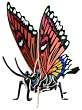Butterfly Puzzle, Wooden 3D Puzzle