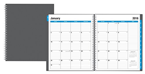 Blue Sky 2016 Monthly Planner, Wire-O Binding, 8" x 10", Classic (17643-W)