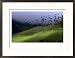 The Colombian National Tree Palma De Cera, Armenia, Colombia Art Styles Framed Photog...