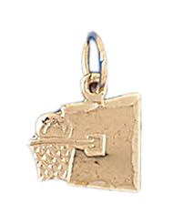 Dazzlers Solid 14k Gold Basketball Ball and Board Charm Pendant Available in three colors from jewelsberry (weights: 0.9 grams only)