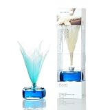     ץ쥼 OASIS 롼ե쥰 (,ꡧ)