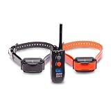Euro Super-X 2 Dog 1 Mile Remote Trainer