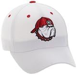 Georgia Bulldogs Adult One-Fit Hat