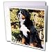 Dogs Bernese Mountain Dog - Bernese Mountain Dog - Greeting Cards-12 Greeting Cards with envelopes