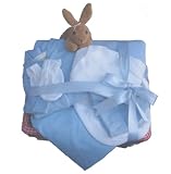 New Baby Gift Basket 8-12lb Sky