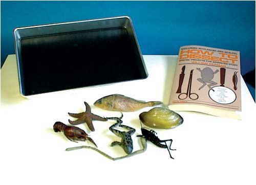 Buy Dissecting Kit - 15 pieces by Science, Art and More now!