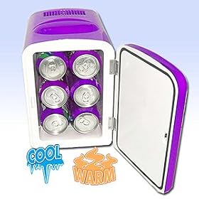 Metalic Mini Fridge