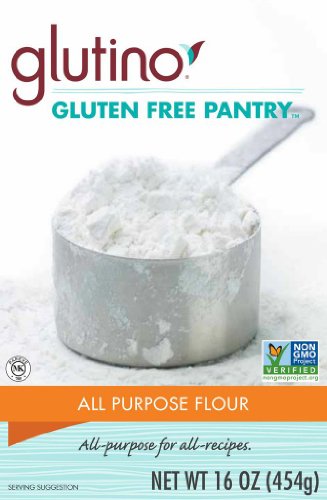 The Gluten-Free Pantry All-Purpose Flour, 16-Ounce Boxes (Pack of 6)