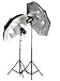 2 X Photo Video Strobe Flash Studio Lighting 2kit1