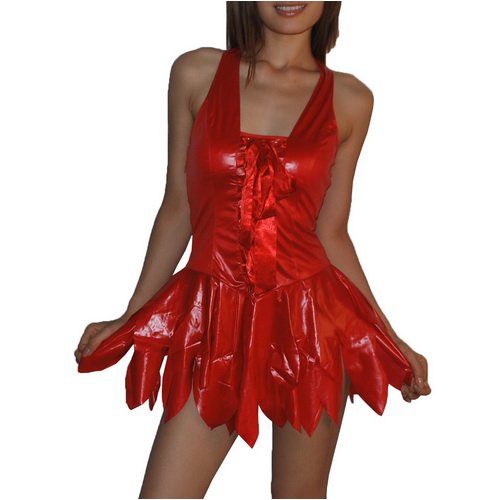 Ladies 2 Piece Lingerie Costumes: Set includes red dress and shorts / panties