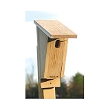 WoodLink Sloped Front Bluebird Hole Size