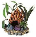 Coral Floral Cave with Plants