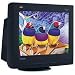 Electronics : ViewSonic 21" 2048X1536 Perflat Blk Crt