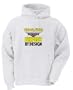 Videographer By Choice Perfect By Design Adult Hooded (Hoody) Sweatshirt In Various Colors