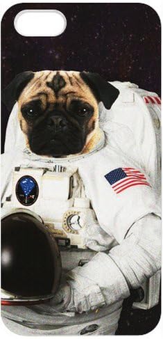 Toy Dog Pug iPhone 5 Case Astronaut Pug Puppy Dog New Style Durable Hard Case Cover at NewOne