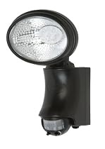 Designers Edge 9 LED Motion Activated Solar Floodlight Model # L-950