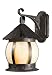 World Imports Lighting 12910-06 Carmel Outdoor 3-Light Exterior Wall Lantern, Flemish