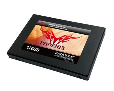 G.Skill PHOENIX FM-25S2S-120GBP1 - Solid state drive - 120 GB - internal - 2.5 - SATA-300