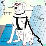 12-27" Safety Car Seat Harness For Small Dogs