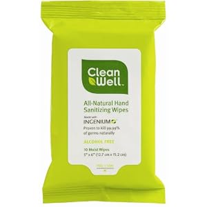 CleanWell Hand Sanitizer Wipes Pocket Pack