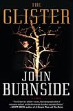 The Glister: A Novel