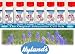 Hyland's - Silicea 30x, 500 tablets