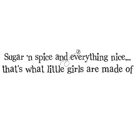Sugar 'n Spice and everything nice...that's what little girls are made of 6.5x36 vinyl lettering teen decal sticker art words