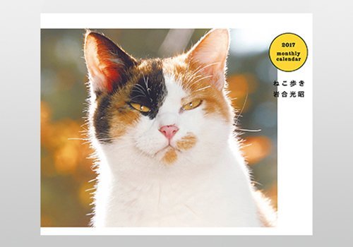 2017岩合光昭ねこ歩きカレンダー卓上 ([カレンダー])