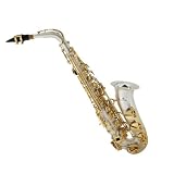 Cecilio 2Series Silver Plated Sandblast w / Gold Plated Keys Alto Saxophone w / Carrying Case and Accessories - B00157NC98