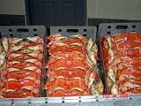Whole Dungeness Crab 30lb Party Pack