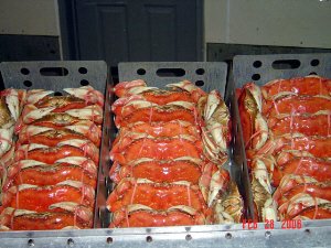 Whole Dungeness Crab 30lb Party Pack