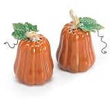 Set of 2 Fall Pumpkins Salt & Pepper Shaker Autumn