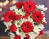 Christmas Eve Bouquet