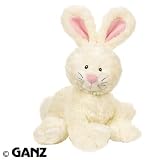 41iXU4jmm2L. SL160  RABBIT