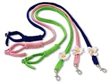 Doggles DOLEVL-04 Blue Flower Velvet Leash