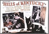 Hills of Kentucky
