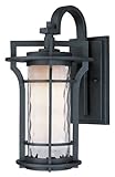 UPC 783209009370 product image for Maxim Lighting 30486WGBO One Light Water Glass Wall Lantern, Black Oxide | upcitemdb.com