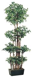 Faux 72" High Ficus Wall Tree