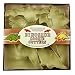 Fox Run Dinosaur Cookie Cutter Set