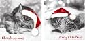 Mini Christmas Card 25/Pk - Kittens 2pack per set (ETEN)
