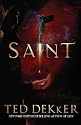 Saint [SAINT] [Mass Market Paperback]