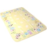 東京西川 ディズニー マイヤー綿毛布 85×115㎝ マルチ LCM0709240-M