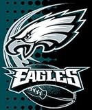 Philadelphia Eagles 60x80 Royal Plush Raschel Throw Blanket - Flash Style